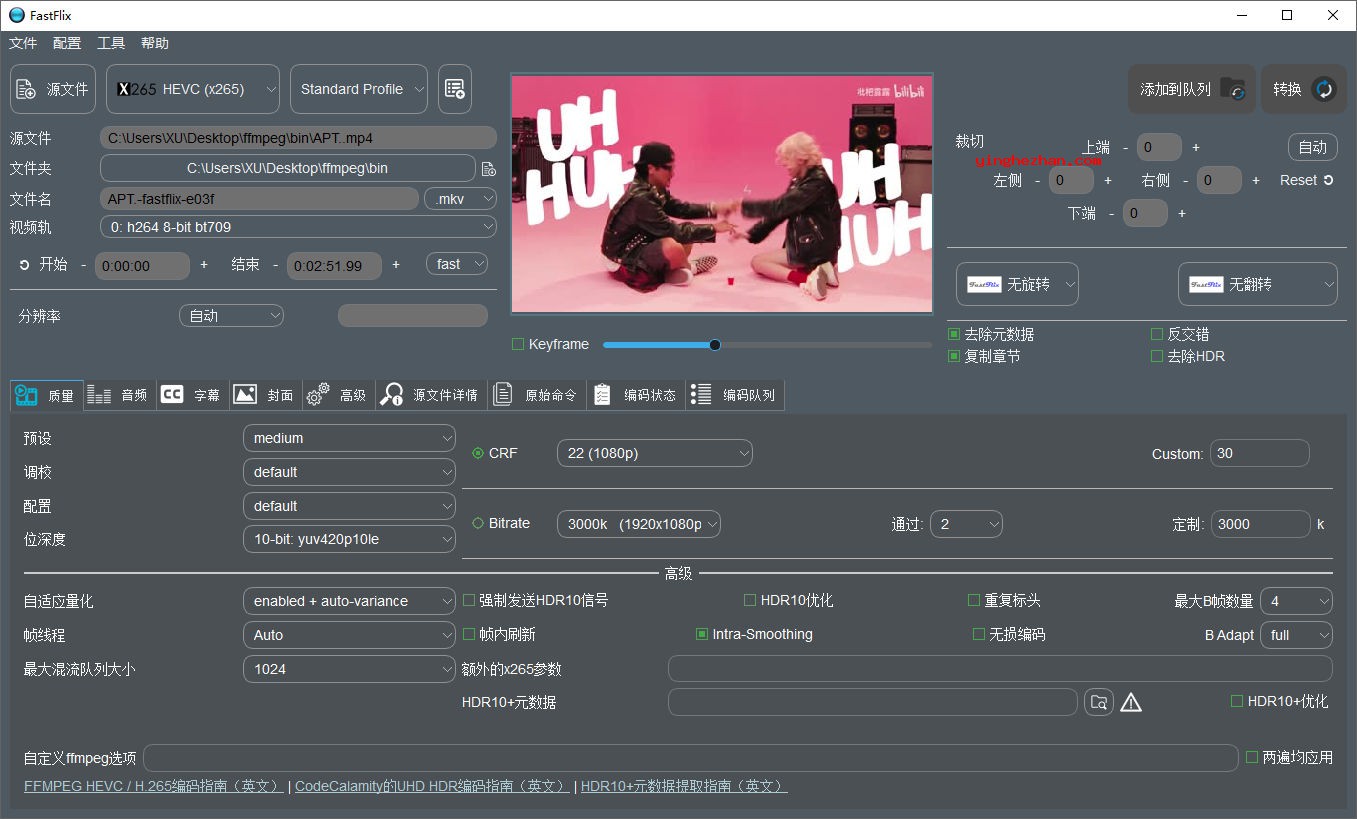 FastFlix视频编码工具